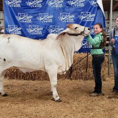 Como-Pickton FFA, Jr. FFA Students Win at 4-States Fair