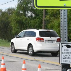 Video Presentation: Crosswalk Active On Main Street at Coleman Park