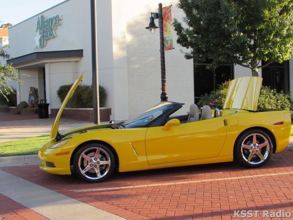 Corvette Show 2018 002