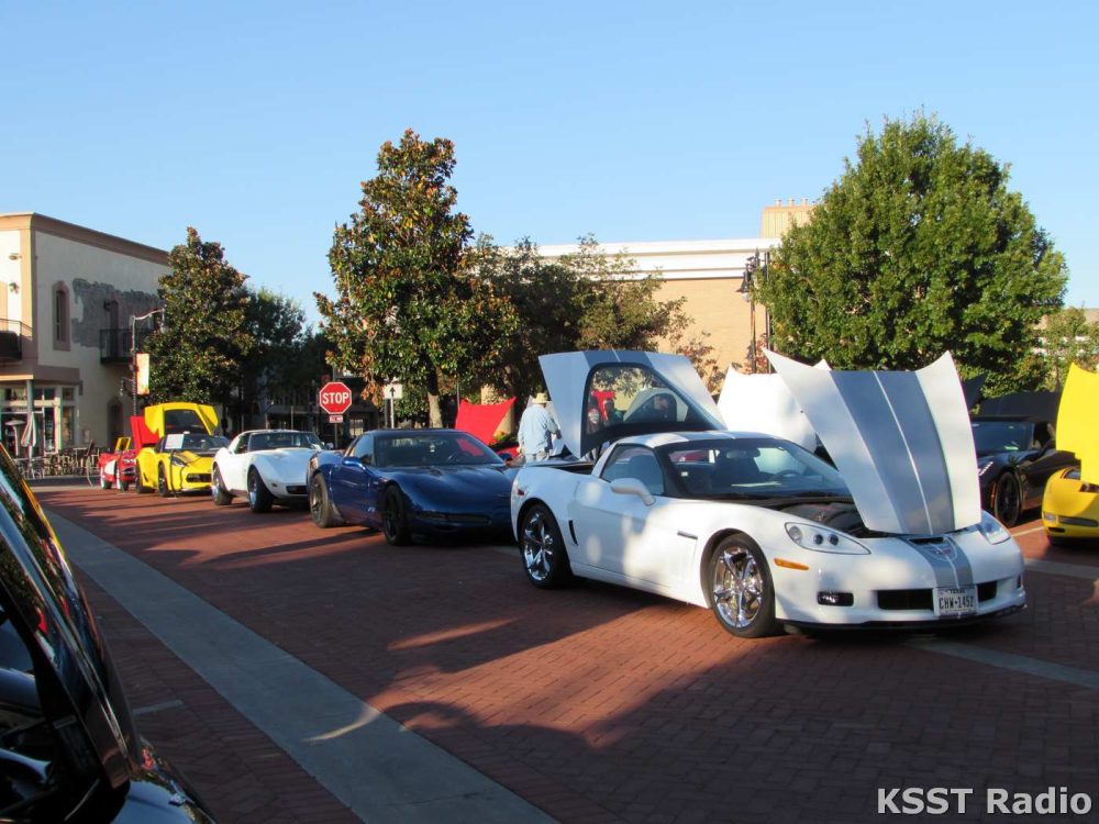 Corvette Show 2018 007