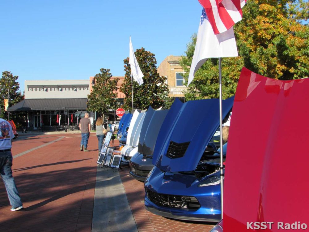 Corvette Show 2018 008