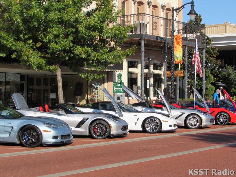 Corvette Show 2018 014