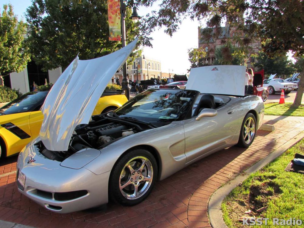 Corvette Show 2018 016