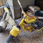Cushman Show in Full Swing