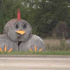 All Invited to Enter the Hopkins County Hay Bale Sculpture Contest;  Judging is October 22, 2021