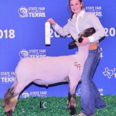 Horton Places 3rd in Junior Market Lamb Show at State Fair