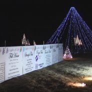 Video Presentation: 23rd Annual Lights of Life Tree Lighting