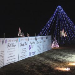 Video Presentation: 23rd Annual Lights of Life Tree Lighting