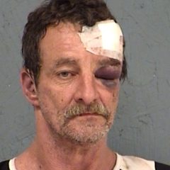 Local Man Arrested for Assault Public Servant