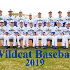 Sulphur Springs Wildcats Baseball Win Over Joshua