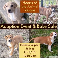 Hearts of Life Animal Rescue Adoption Event and Bake Sale