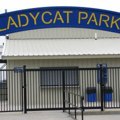 The SSHS Lady Cats and the North Lamar Lady Panthers Challenged Each Other in an Exciting Game of Softball March 21st
