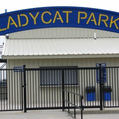 Lady Cats Softball Clinch 15-5A Co-District Championship