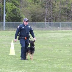 USPCA Trials, Certifications Being Held At Coleman Park