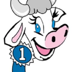 Channel 18 Dairy Festival Pageant
