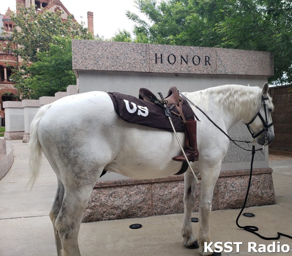 Riderless Horse 2018-10