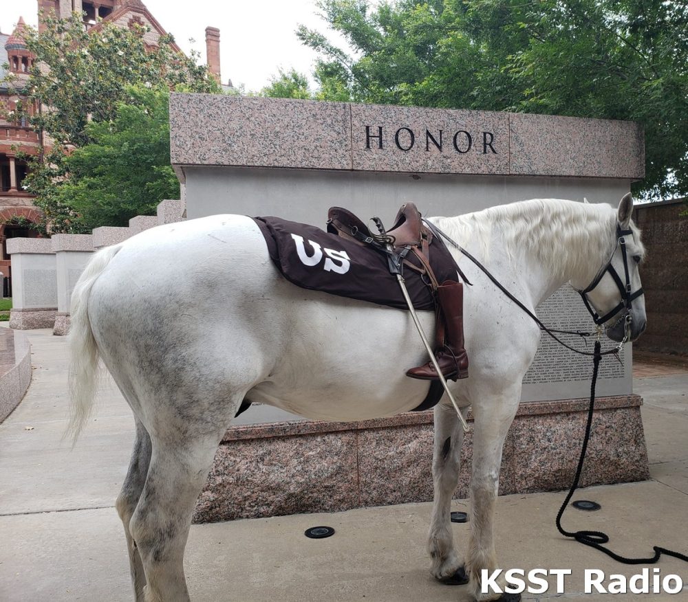 Riderless Horse 2018-10