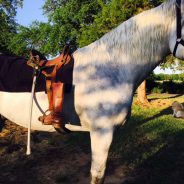 Memorial Day 2019 – Riderless Horse Ceremony