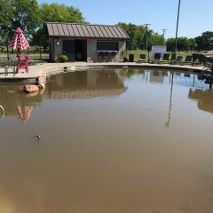Sulphur Springs County Club Golf Course And Swimming Pool Suffer Significant Damage