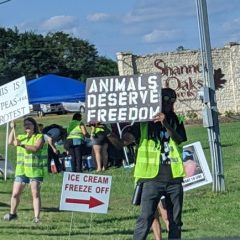 PETA Protests Dairy Festival Ice-Cream Freeze Off