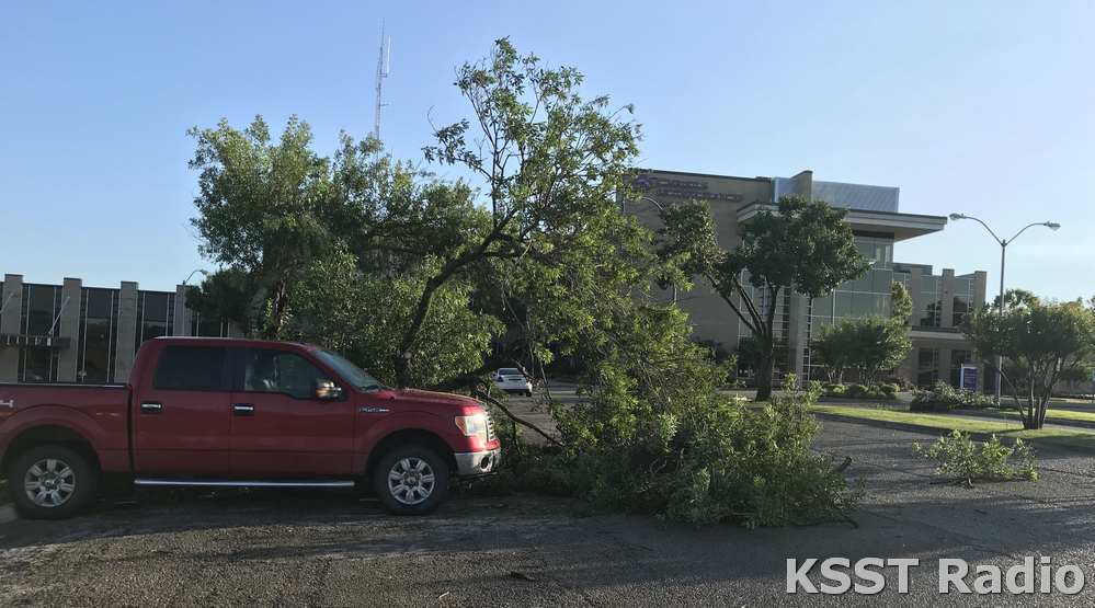 Tree damage near CHRISTUS Hospital in Sulphur Springs, TX.