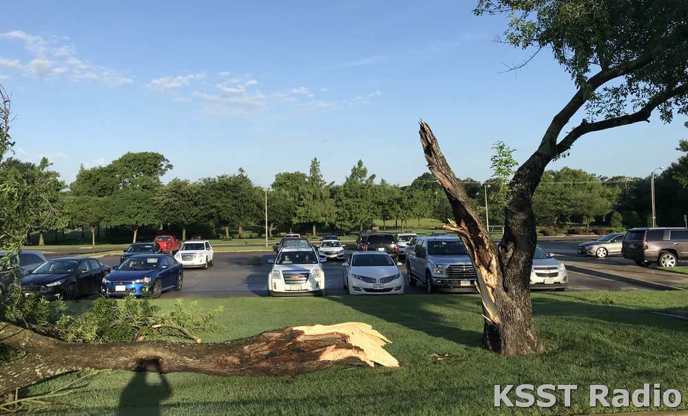 Tree Damage at the Sulphur Springs Country Club