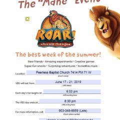 Peerless Baptist Church VBS Starts Monday, June 17th