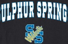 It was Cloudy, But no Chance of Meatballs for the 2025 Wildcats Homecoming Parade