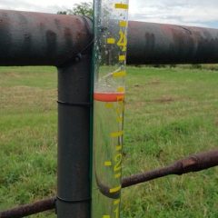 Rain Overnight: More Expected on Saturday