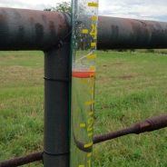 Governor Abbott Activates State Emergency Response Resources Ahead Of Severe Weather Threat