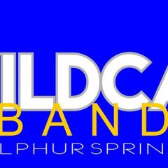 Wildcat Band Earns Trip to Area With Scores of Straight Ones From Judges at UIL Region Contest