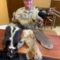 ‘Skins, Skulls and Tracks’ is Theme of Nature Programs at Cooper Lake State Parks