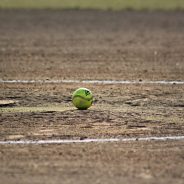 The Next Lady Cats Area Playoff Softball Game is Friday, May 3rd, in Commerce