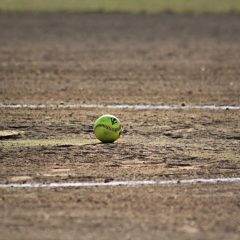 Lady Cats softball hosts Senior Night Friday