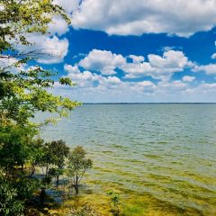 Cooper Lake State Park Offers Fun for Fall for All!