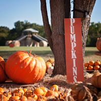 Pumpkin Season Opens at Shannon Oaks Church in Sulphur Springs on I-30