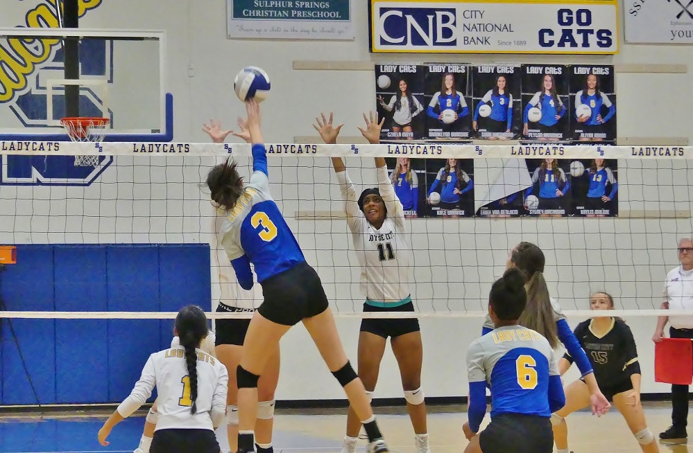 Ladycats Volleyball 9 27 19 II