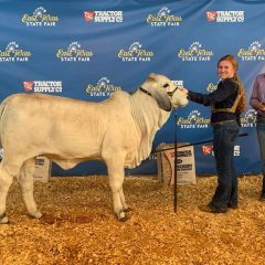 Sulphur Springs FFA Show Team Members Earn Recognition