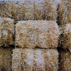 The Hopkins-Rains Hay Show is Soon on the Way