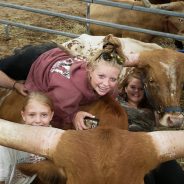 Texas Longhorns Arrive for Show