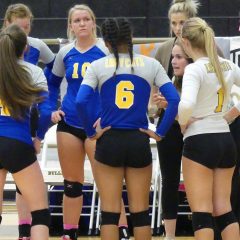 Lady Cats Volleyball Team Struggled on the Road Again Last Friday at Lindale