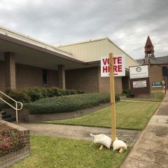 Early Voting In Party Primary Runoff Elections Wraps Up Friday, July 10