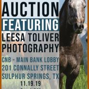 CNB Plans Silent Auction, Unveils 2020 Calendar with Photography by Leesa Toliver on November 19