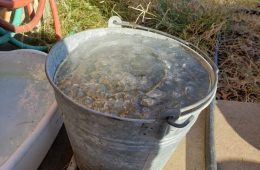 Winter Weather Outlook For Hopkins County