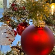 Channel 18:  Christmas Cards with Enola December 20, 2019