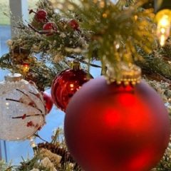 Channel 18:  Christmas Cards with Enola December 20, 2019