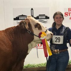 Hopkins County 4-H Member Wins Class, Group Reserve At Fort Worth Stock Show