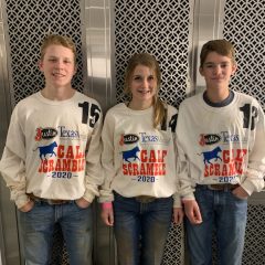 Sulphur Springs FFA, Ag Mechanics Students Do Well At Fort Worth Stock Show