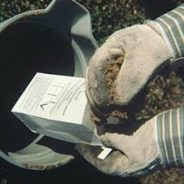 Compost Your Garden NOW!