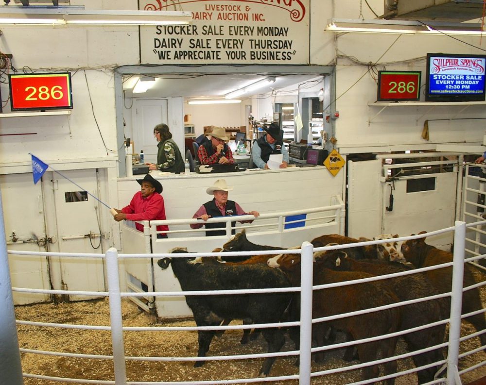 Sulphur Springs Livestock Commission NETBIO January 2020 Sale Ksst Radio
